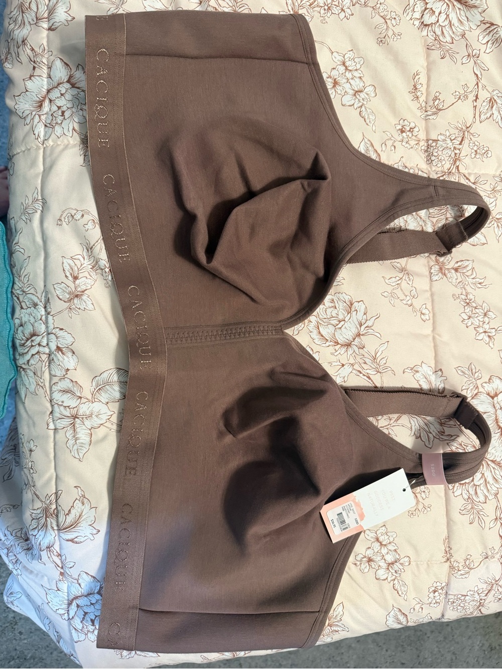 Cacique Brown Wireless Scoop Bralette